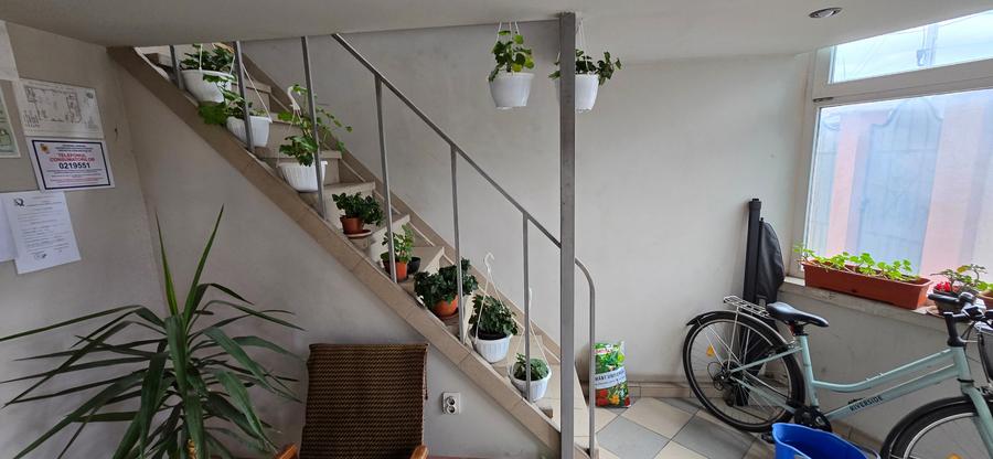 Service auto si vila de locuit Unirea Odobesti - 36