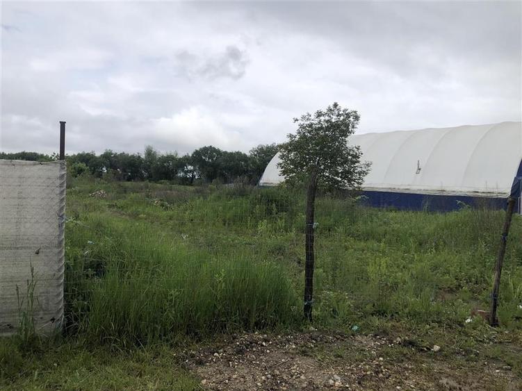 STRADAL -Teren Pentru Dezvoltare Imobiliara cu Urbanism 2025 - 19