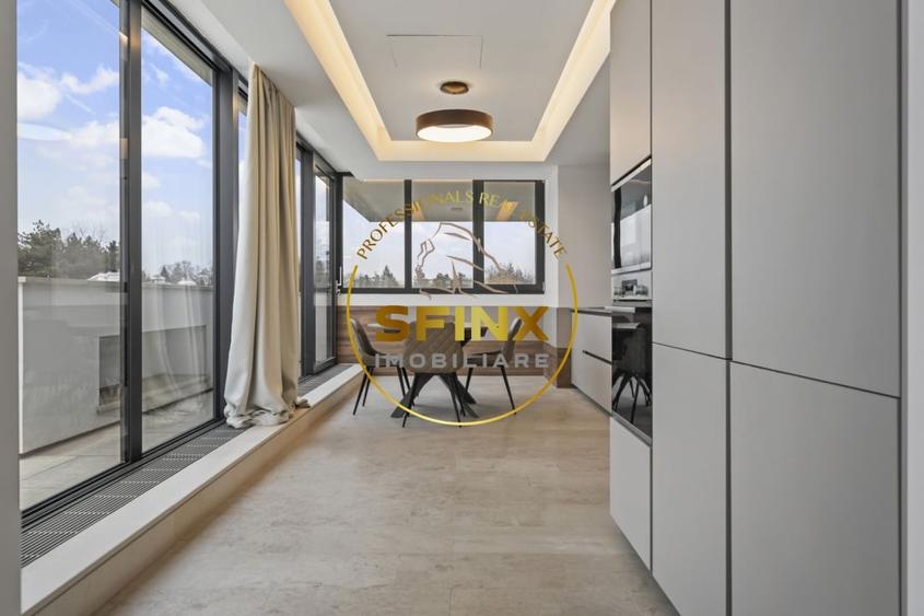 Kiseleff, 4 room penthouse to let, pet friendly, roof terrace, panoramic views - 3