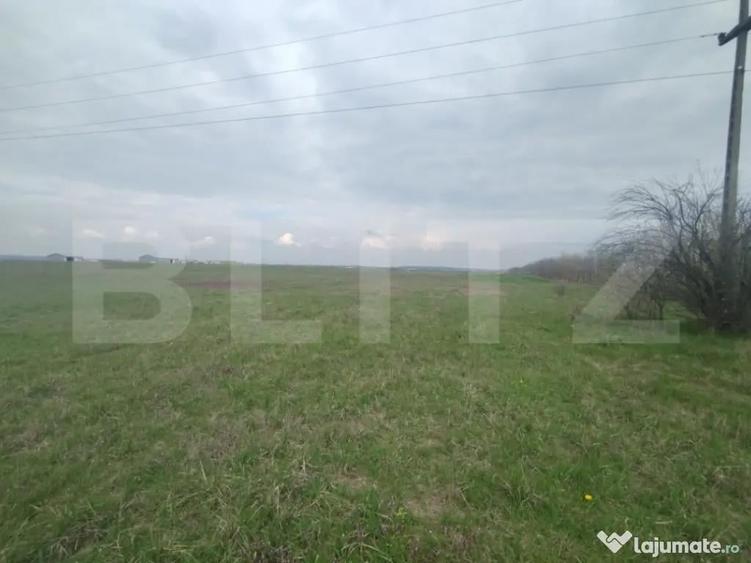 Teren intravilan industrial, Centura de Nord, 2.1 ha, deschi - 3