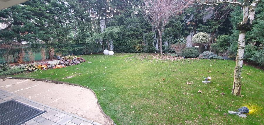 Vanzare Vila Iancu Nicolae/ British School - 38