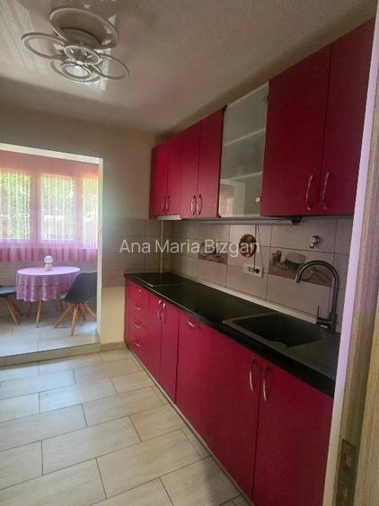 Proprietar vand apartament 3 camere decomandat zona Teiul Doamnei preț 155.000 Proprietar vand apartament 3 camere decomandat zona Teiul Doamnei preț 155.000