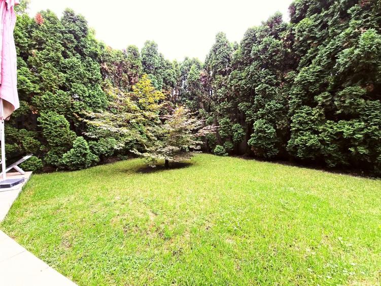 Vila 6 camere, mobilata, utilata, Andrei Muresanu, zona Engels - 37