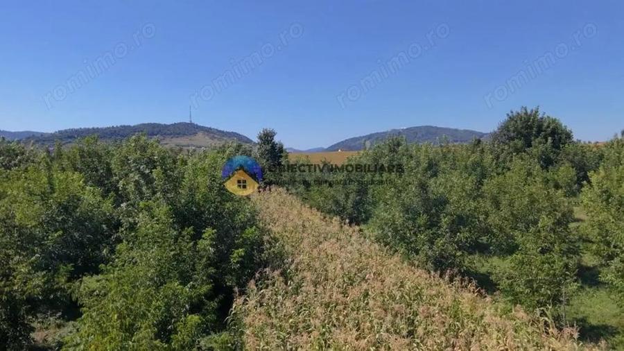 Teren de vanzare 1935 mp Piatra Neam? - Str. Plantelor - 4