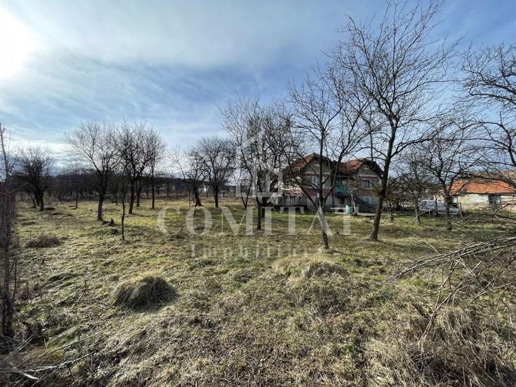 Teren autorizabil la preț foarte bun Chinteni - 2