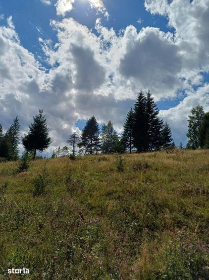 Teren de 15000 mp, în Uric