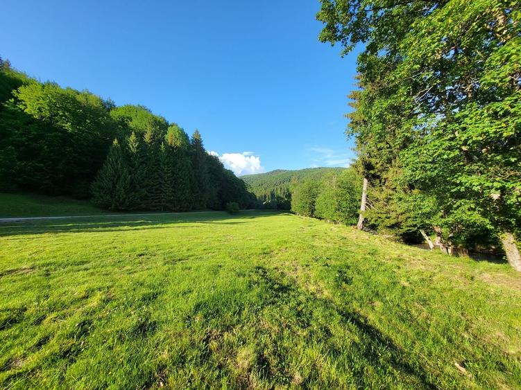 Teren de 12.000 mp la Vama Buzăului – Locație de Vis cu PUZ Aprobat - 2