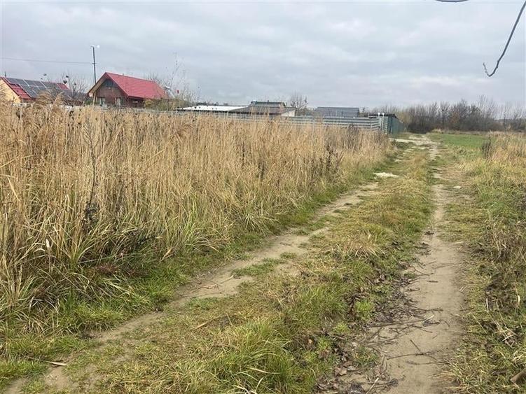 Hemeius- teren 500 mp- 18 ml deschidere! - 5