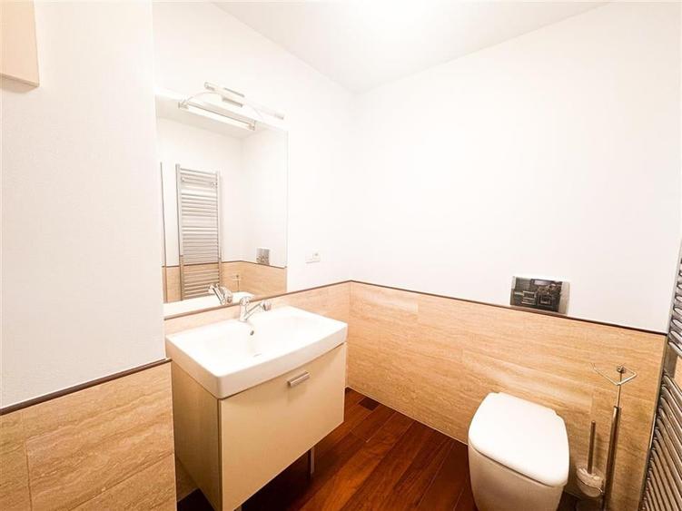 Apartament 3 camere de inchiriat Barbu Delavrancea - 22