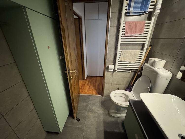 Apartament 2 camere, cu vedere la Parcul Tineretului. Centrala proprie. Parcare. - 6