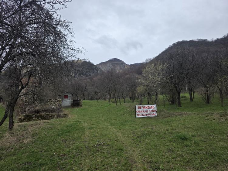 De Vanzare Casa plus Teren - 1