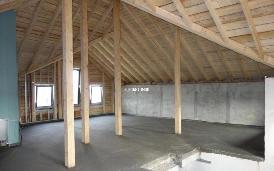 Vila Speciala in Paradisul Verde - 4