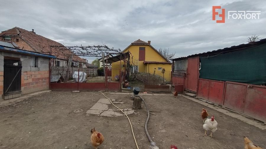 Casa individuala 3 camere, Sanmihaiu Roman - Anexe, 1062 mp teren - 10