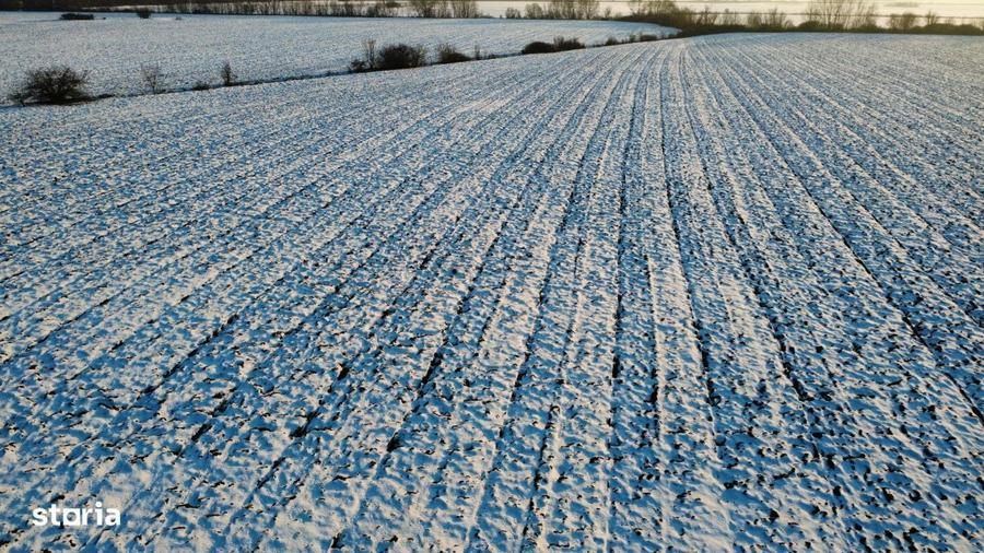 INCONTRO- teren industrial- oportunitate investitie- 17800mp - 8