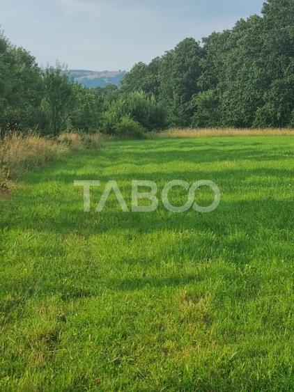 Teren pretabil cabana sau gradina 1670 mp zona deosebita Sibiel - 3