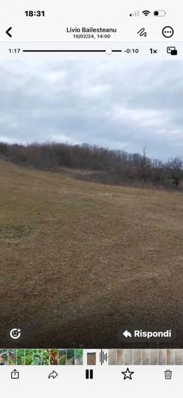 Vand teren intravilan/extravilan - 4