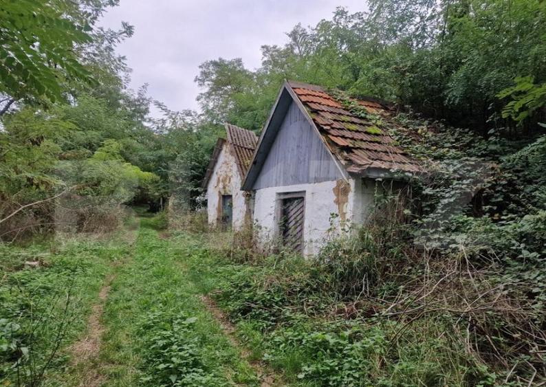 Teren intravilan 7.9 ha. Sandra - 25