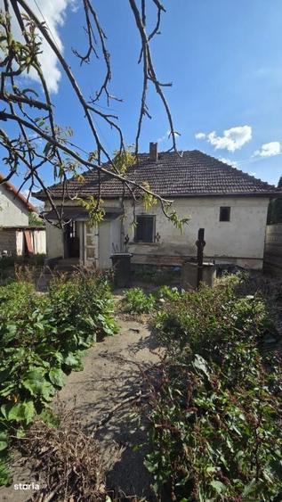 Teren cu casa demolabila Str. Dariu Pop - 1