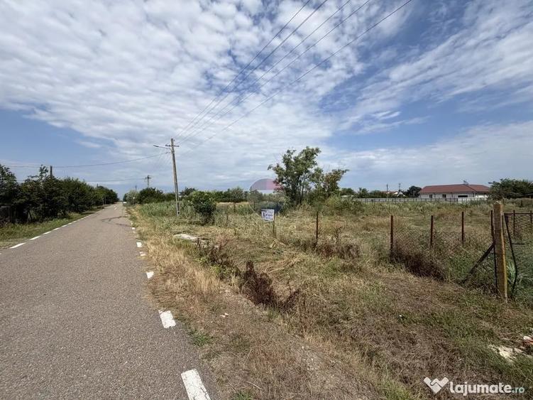 Teren în Călienii Noi