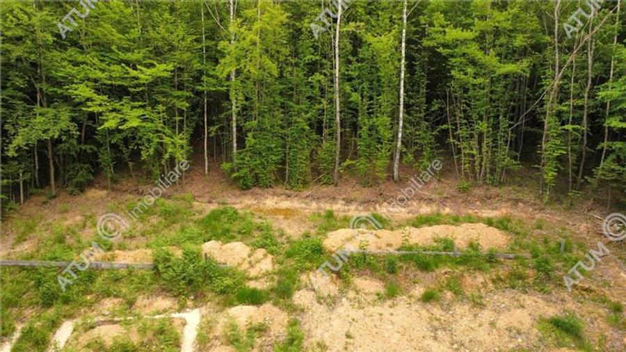 Teren intravilan de 3000 mp, în Porumbacu de Sus