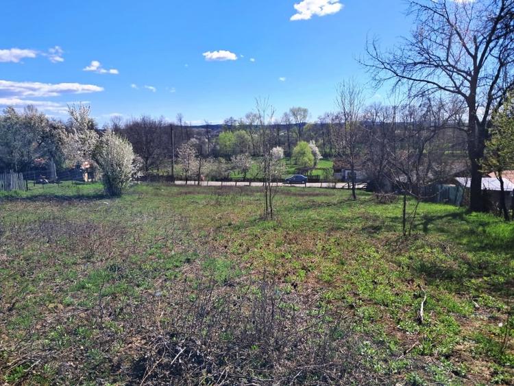 Teren Construcții intravilan de 2592 mp, în Polovragi
