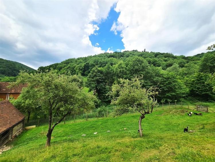 Casa deosebita \ vanzare \ Marginimea Sibiului \ Fantanele - 1