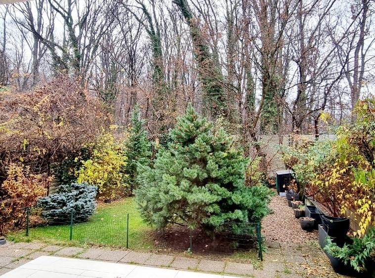 Teren cu locatie premium la liziera padurii Baneasa, in Sector 1, Bucuresti - 3