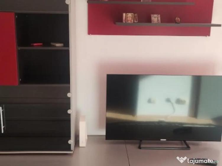 Garsoniera spatioasa, 42mp, Dr. Taberei - cartier Brancusi, proprietar - 1