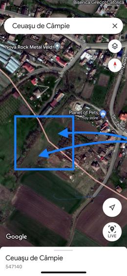 vand in Ceaușu de Cîmpie, 1964 mp teren intravilan si 3314 mp extravilan - 1