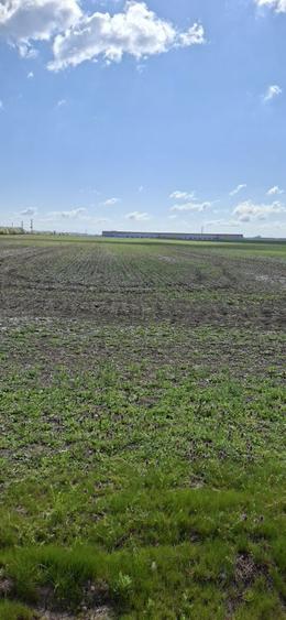 Teren de Vanzare - 2