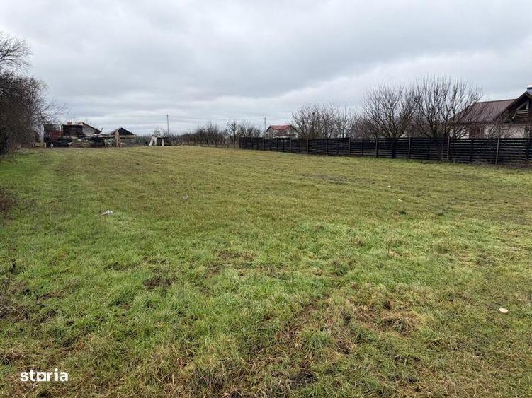 Teren de Vanzare Gradistea Sitaru - 6