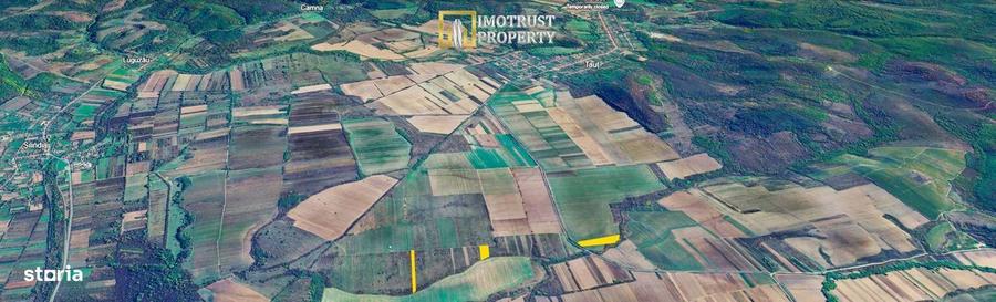 Terenuri agricole de vanzare in Arad Comuna Taut - 2