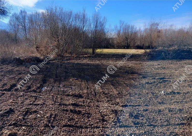 Teren intravilan de 1900 mp in Avrig zona Valea Avrigului - 7