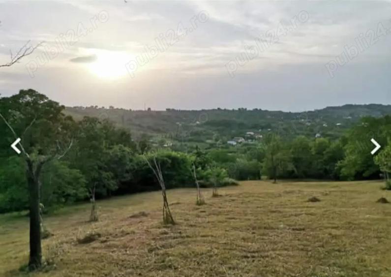 2 Casa padure + 4800 teren langa Focsani - 5