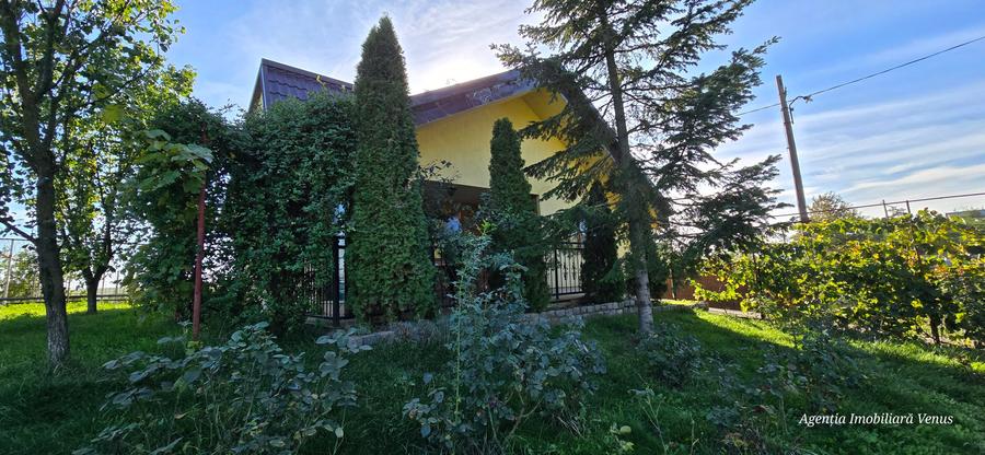 Casa caramida in Costesti - 16