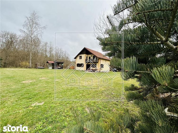 Casa de vacanta - investitie turistica profitabila - Porumbacu de Sus - 6