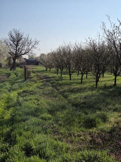 Tartasesti – casa si teren 2.000 mp de vanzare - 2