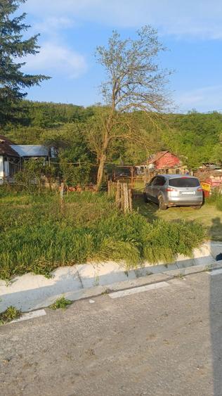 Casa cu teren 1 hectar in sat Roscani, la 40 km de Iasi. - 7