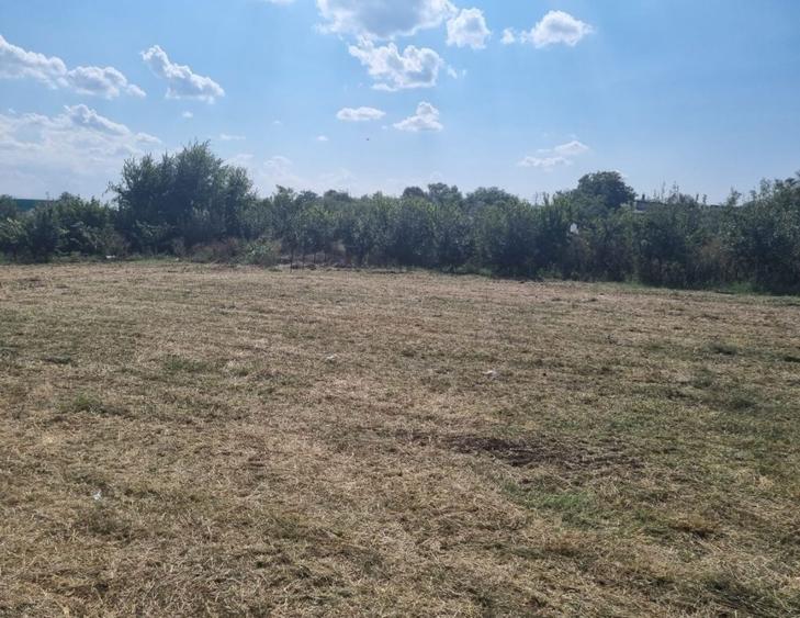 OCAZIE! Teren Intravilan-3417mp-POIANA, CONSTANTA - 8