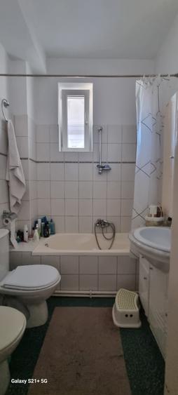 Dacia - Dumbrava Rosie ( Parc Ioanid ) - 5