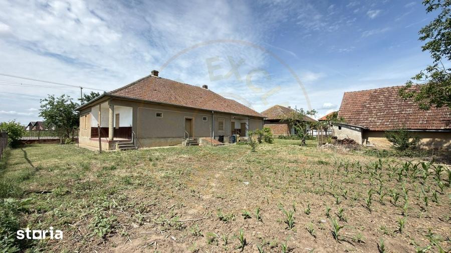 Casa 4 camere, Teren 1955 mp Str. Vezendiului Nr. 366 - Loc. Petresti, - 11