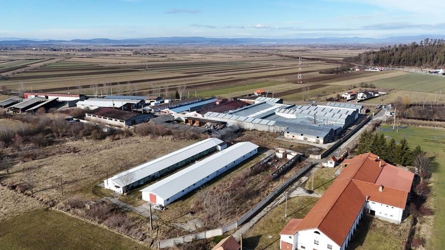 Teren intravilan 1.729 mp + hală parțial demolată | Teliu I Comision 0 - 2