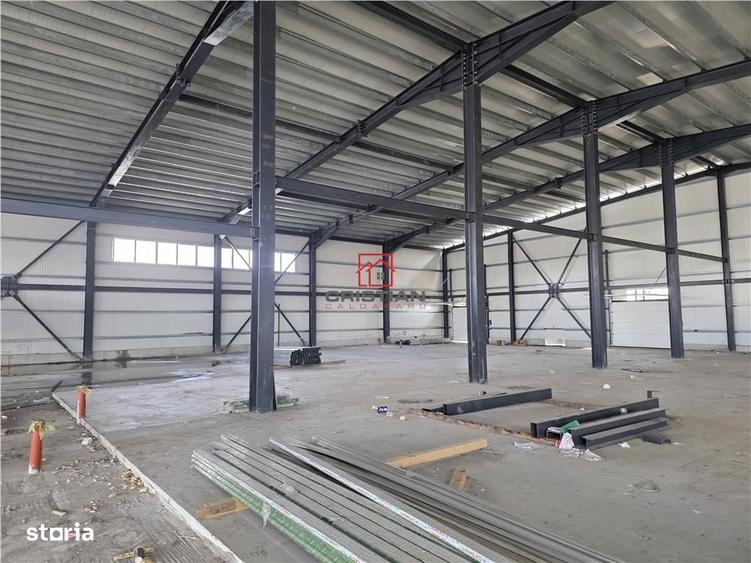 Vanzare depozithalaspatiu industrial Otopeni - Centura, Ilfov - 9