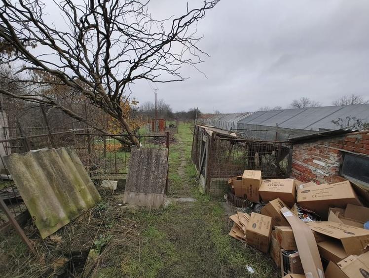 Casă Aradul Nou - 4