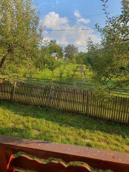 Casa 64 mp util, 2 camere + hol mare refacut, 4.100 mp intravilan - 10