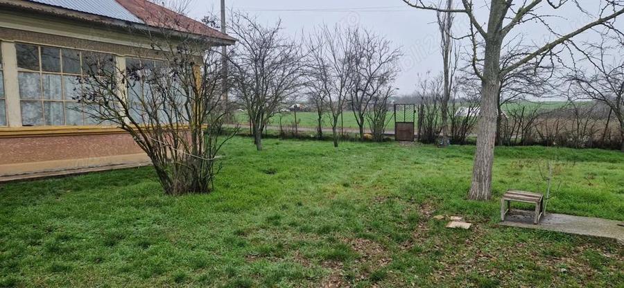 Vand casa batraneasca + teren 1800mp - 4