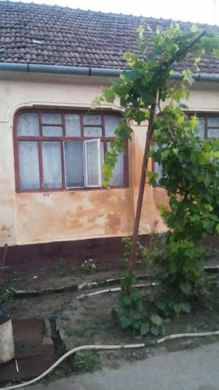 Vand casa batraneasca - 3