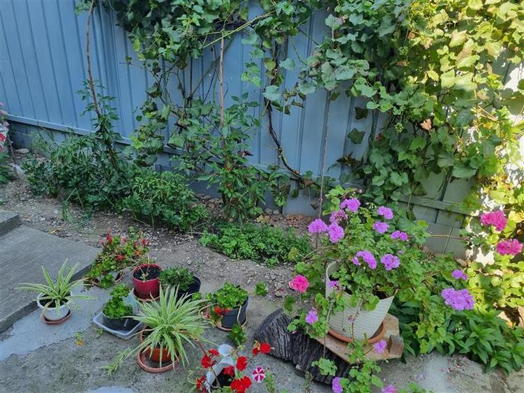 Garsoniera in Vila CEnTRaL - 14