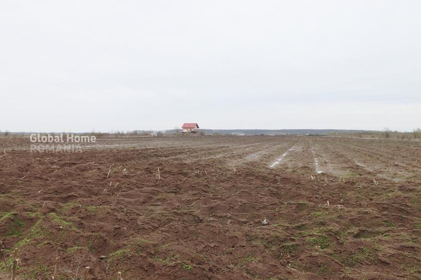 Teren 4000 mp lângă Pădurea Petrești | Investiție dezvoltare | Corbeanca - 4