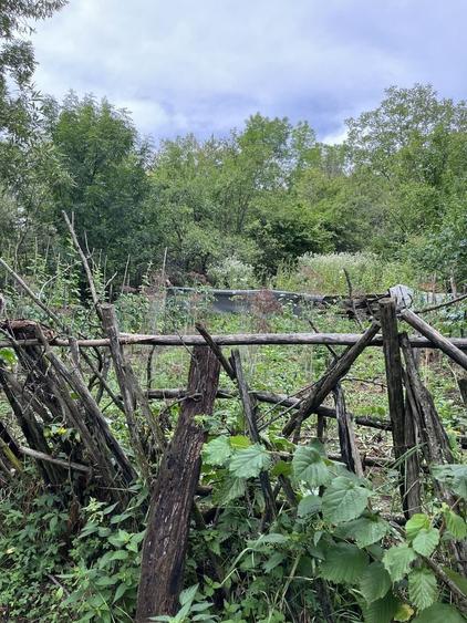 VAND CASA BATRANEASCA, 3,1 HA IN JURUL CASEI, COM.CETATENI - 7
